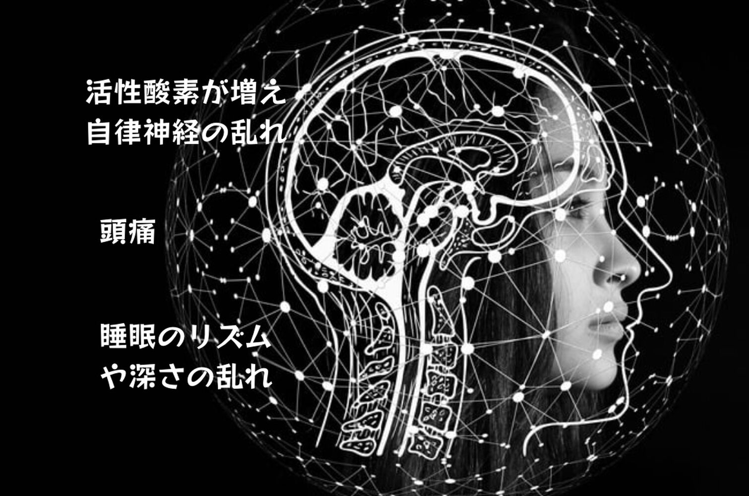 画像11006