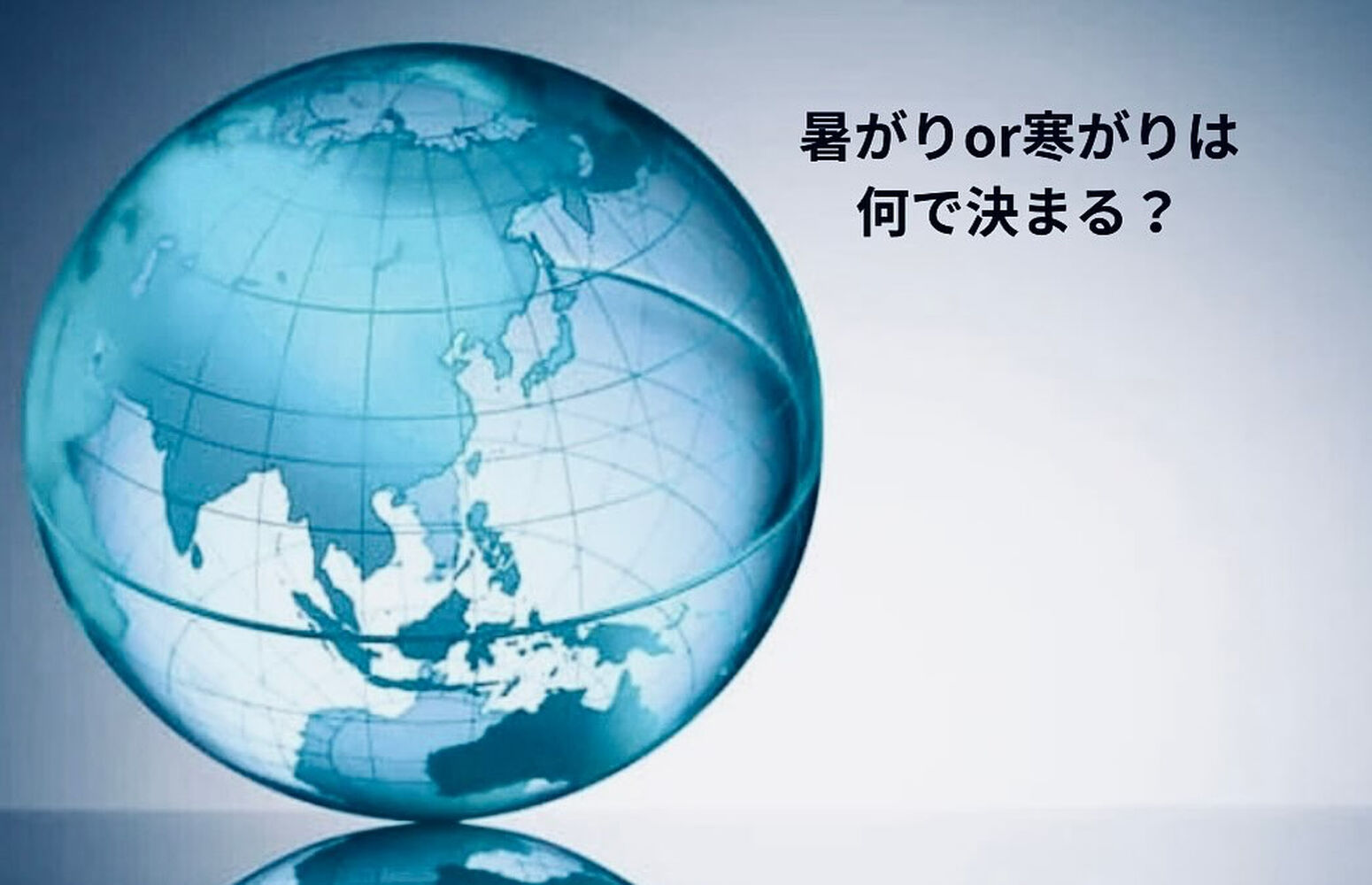 ブログ