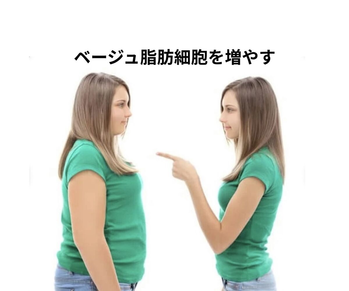 画像15976