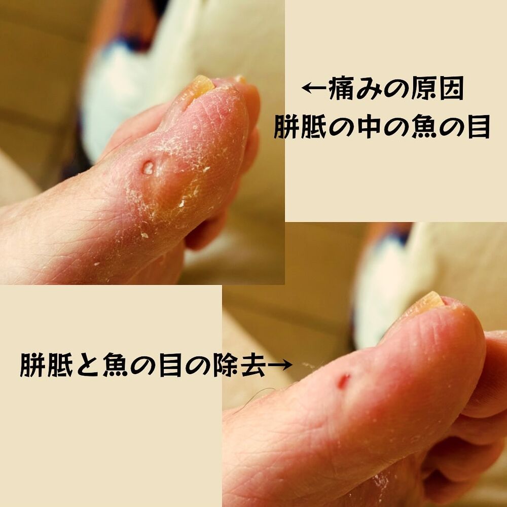 画像16730