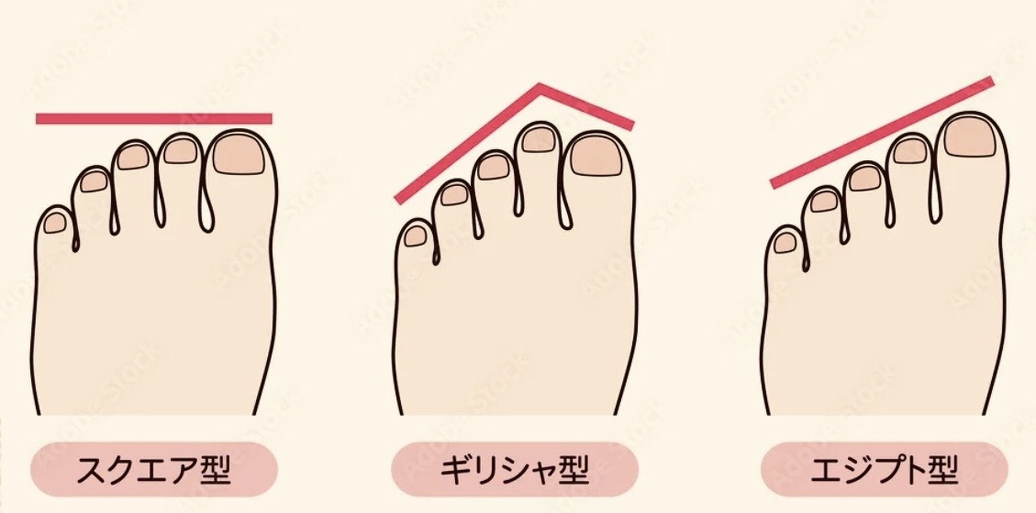 画像21275