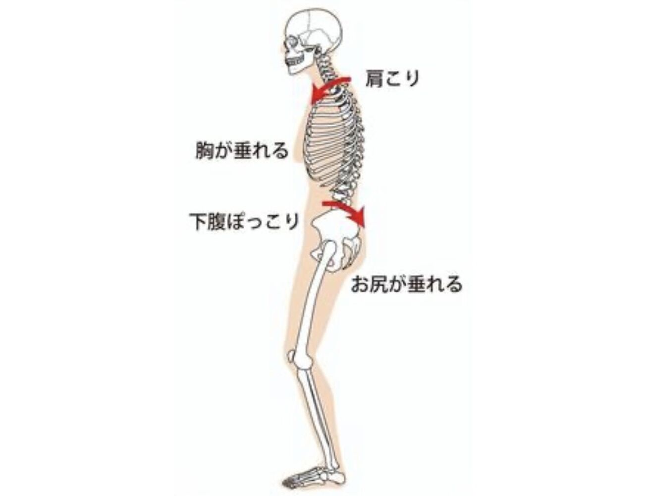 画像21717