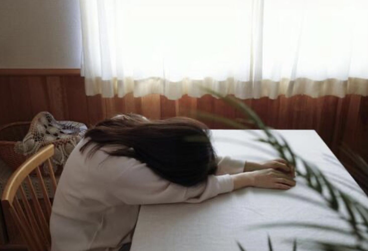 画像24744