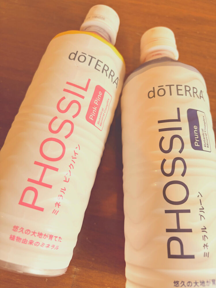 ブログ