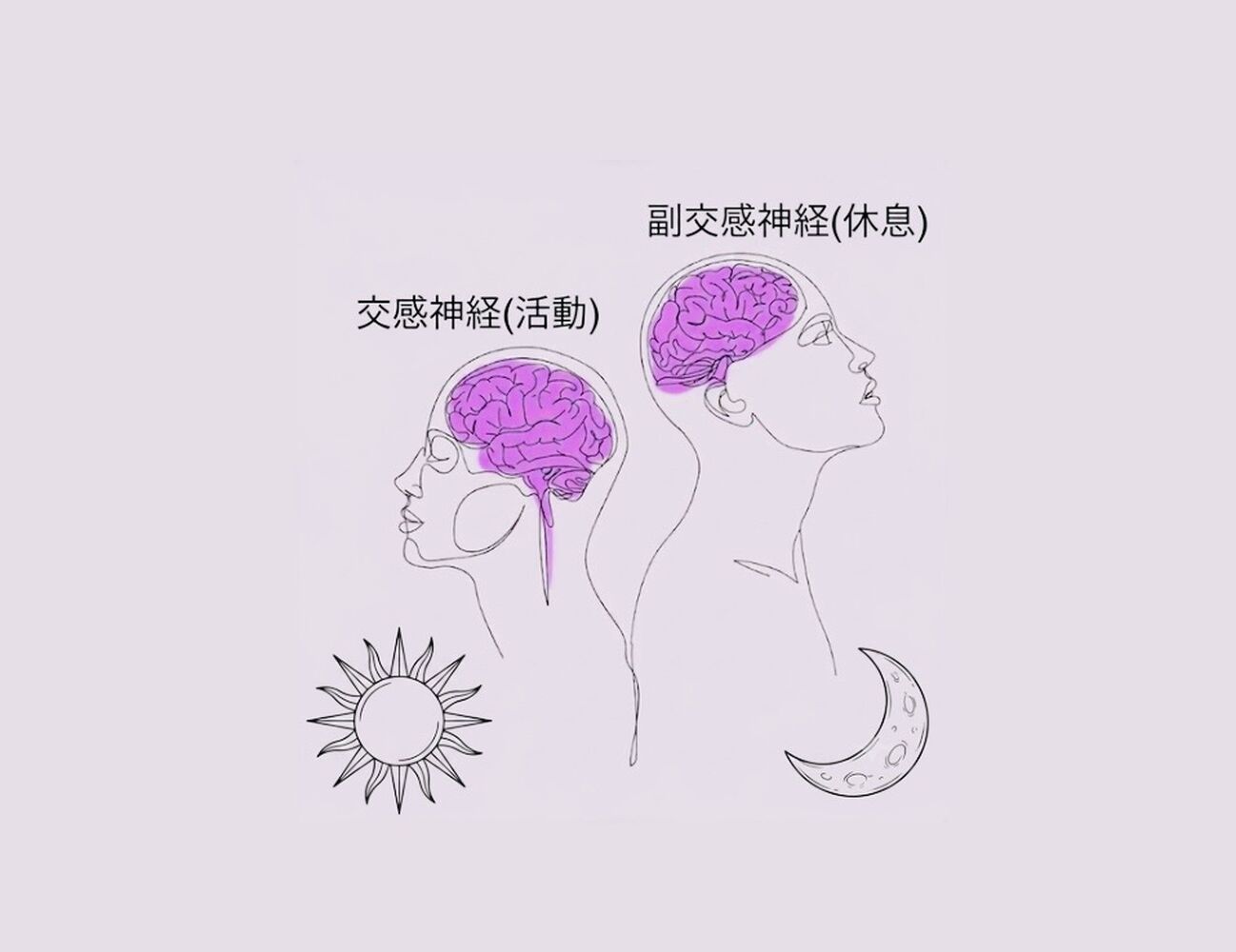 画像26716