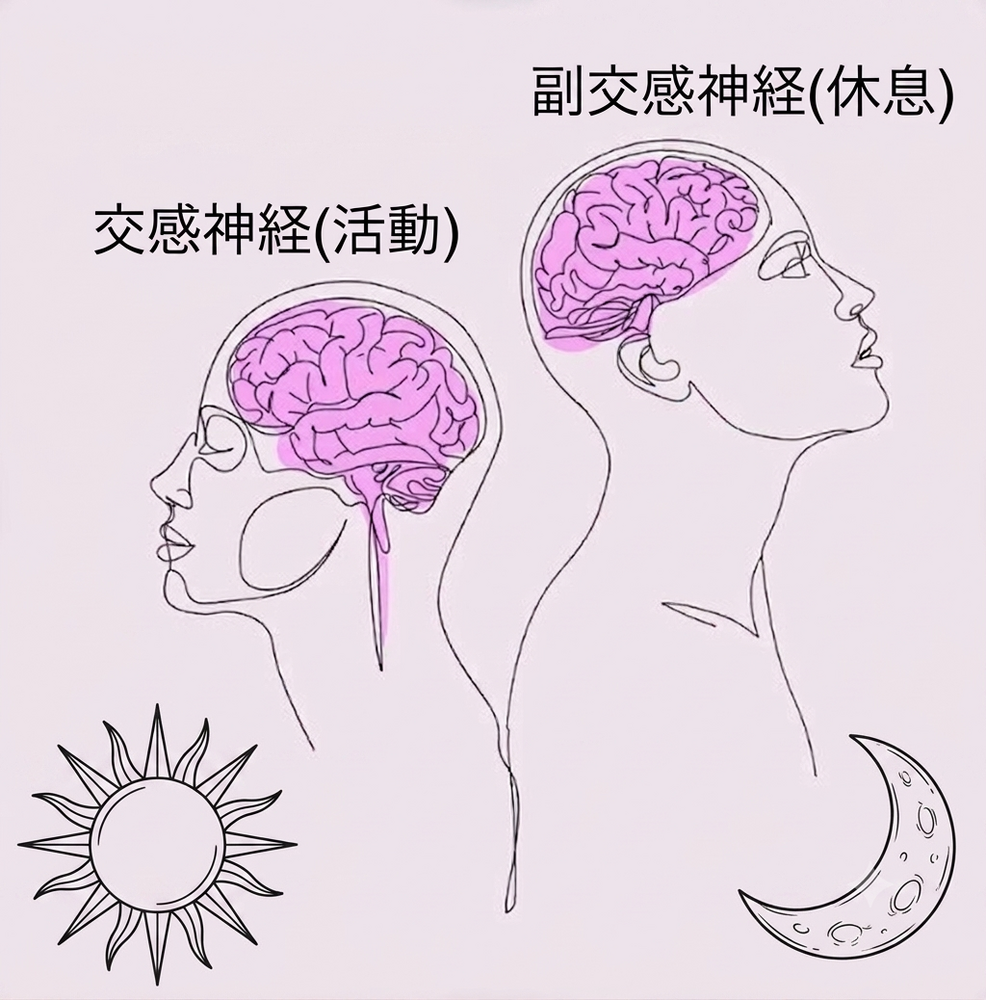 画像27907