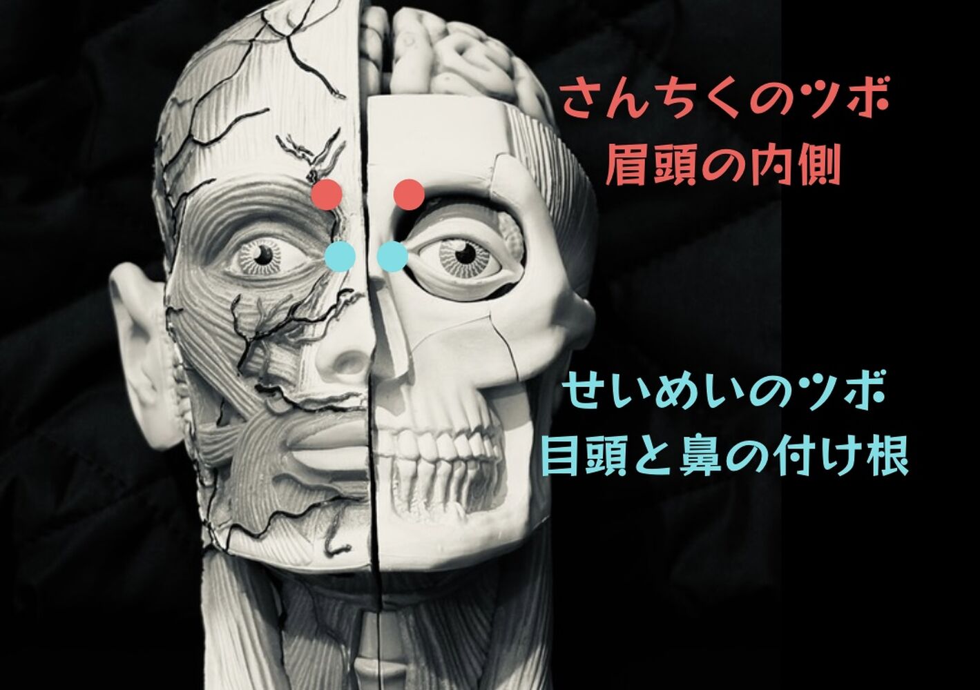 画像7079